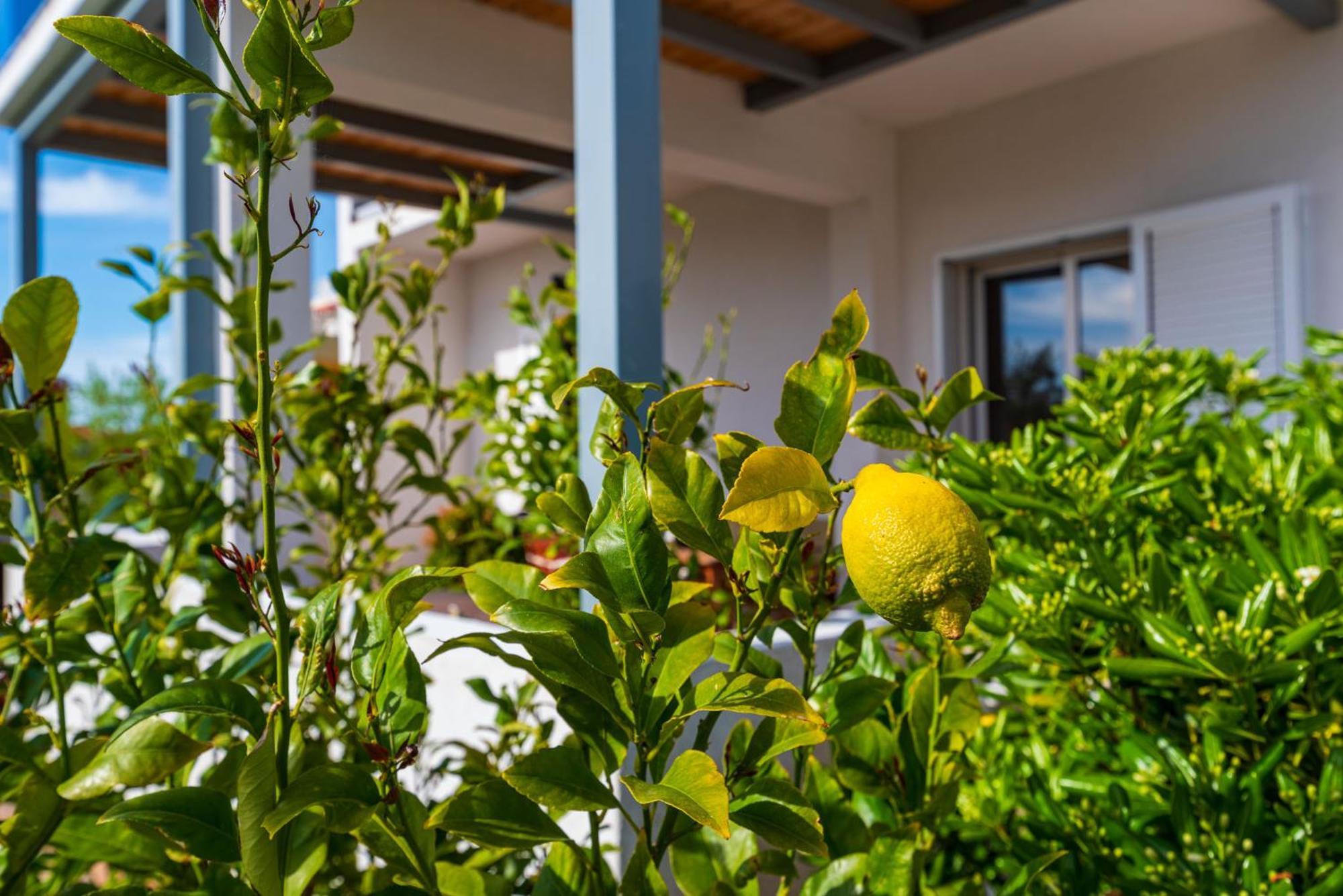 Apartment Lucija Mari